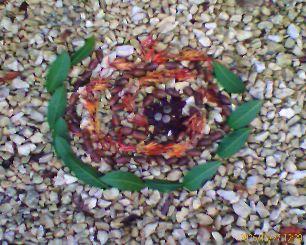 Autumn spiral