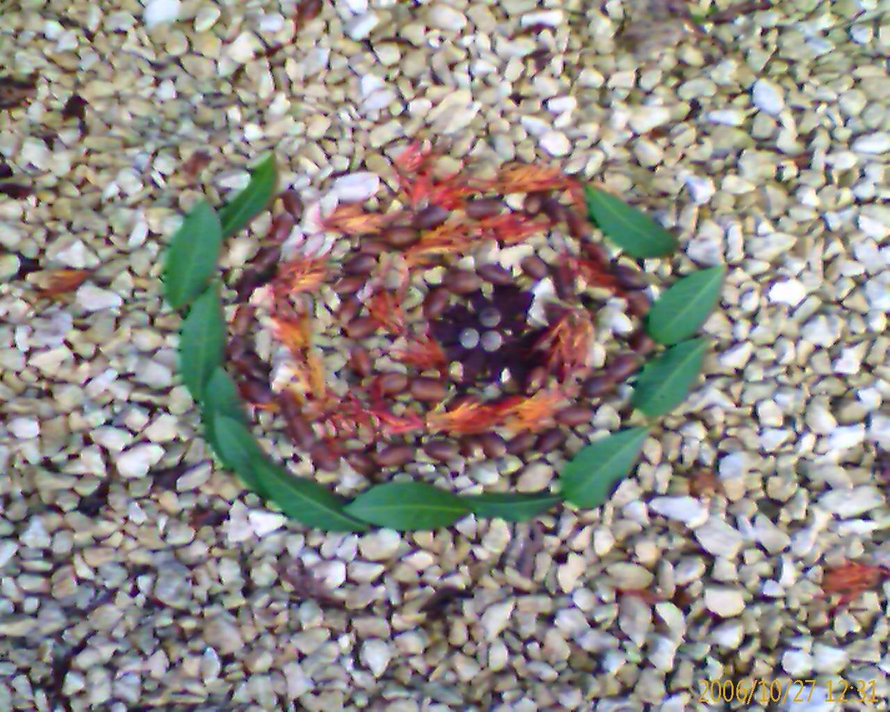 Autumnspiral2