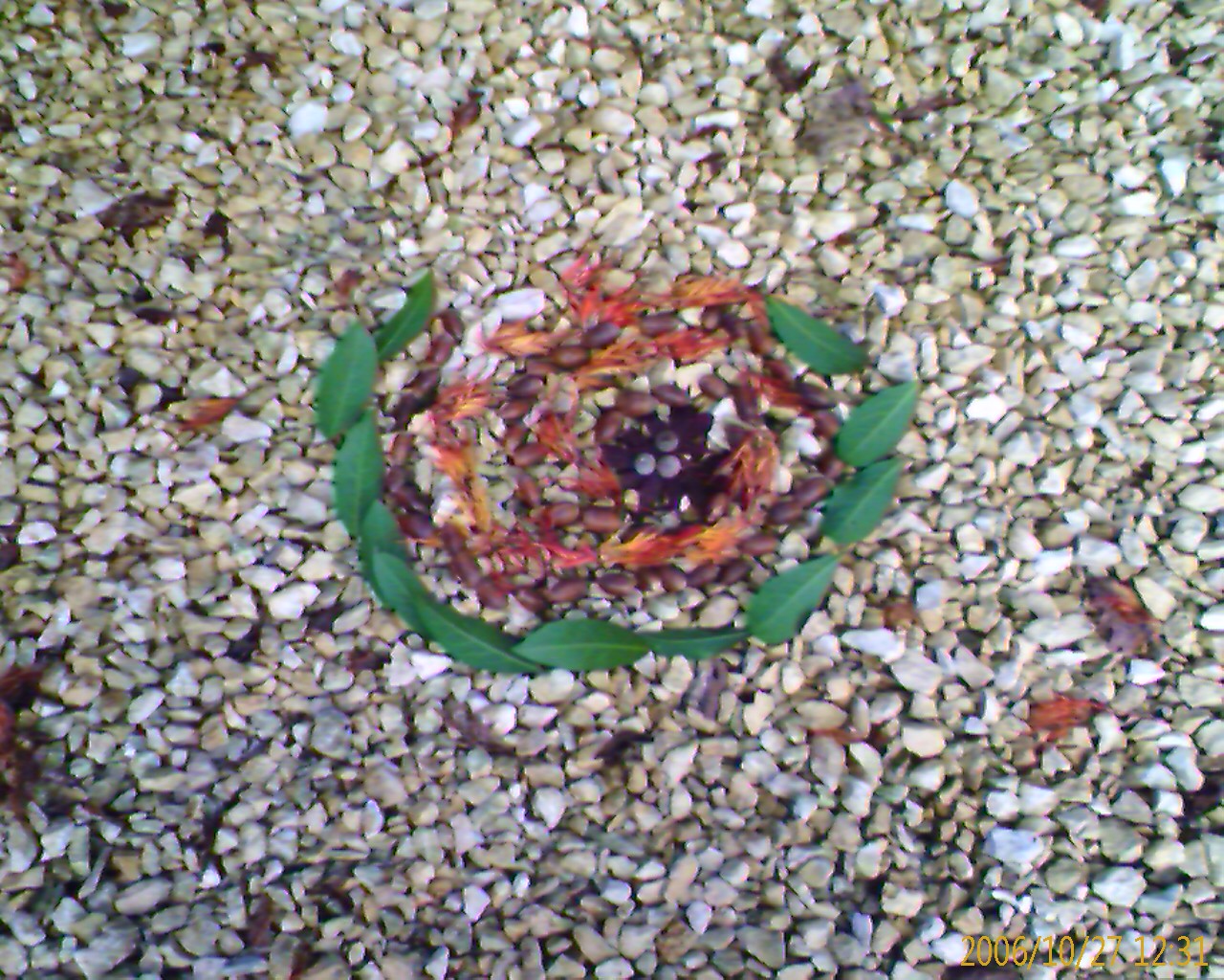 Autumnspiral3